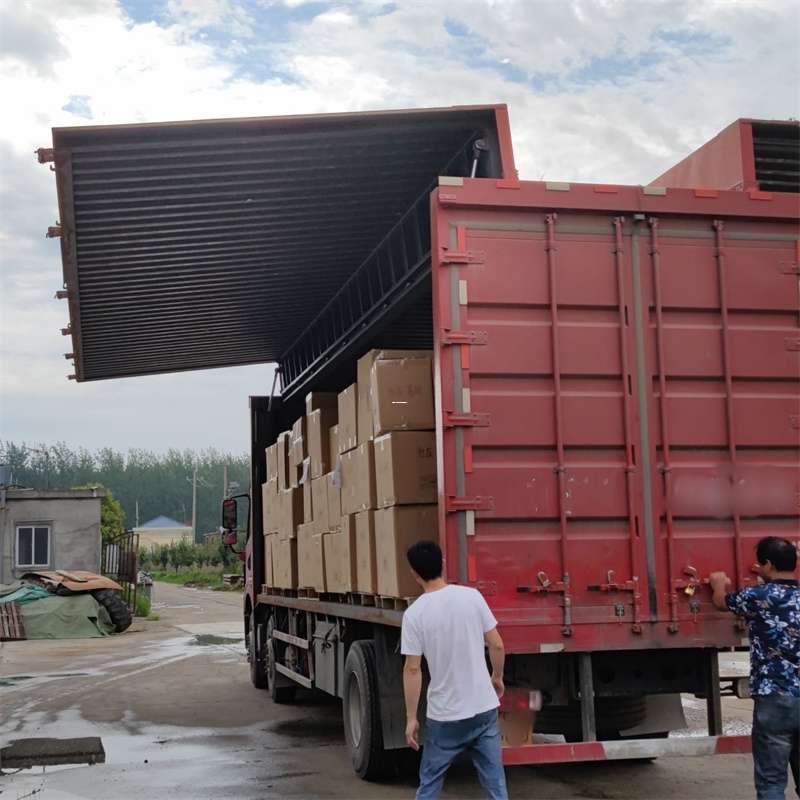 凤翔区扎囊县：物流专线的高效货运之旅